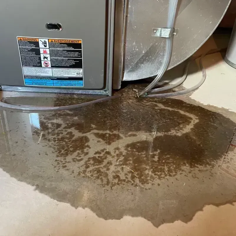 Appliance Leak Cleanup in Carrollton, MO